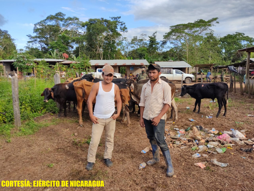 ejercito-retiene-ganado